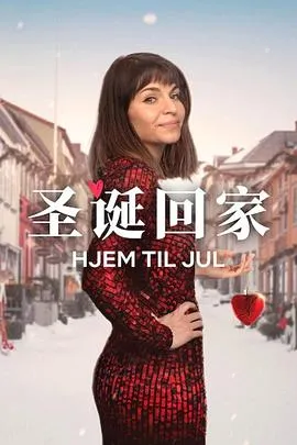 圣诞寻伴 第三季在线观看