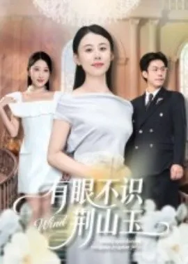 有眼不识荆山玉在线观看