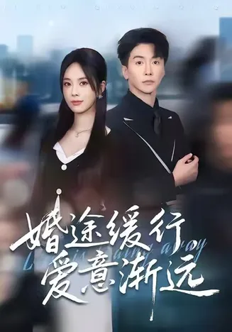 婚途缓行，爱意渐远在线观看