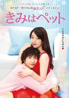 宠物情人2017在线观看