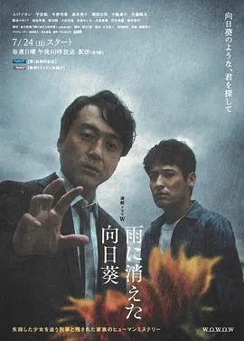 雨中消失的向日葵在线观看