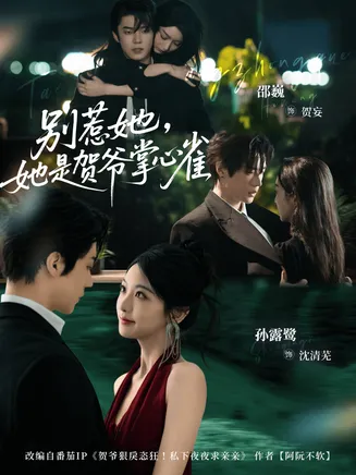 别惹她，她是贺爷掌心雀在线观看