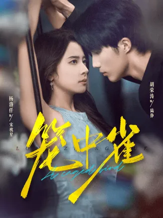 笼中雀在线观看