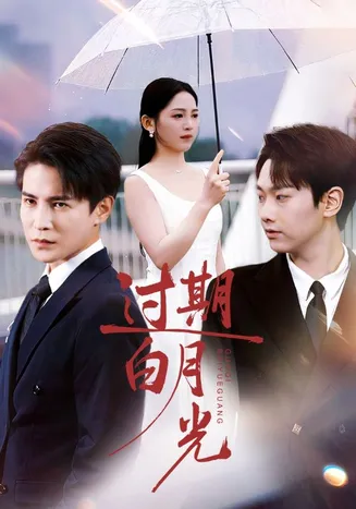 过期白月光在线观看
