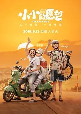 小小的愿望[电影解说]在线观看