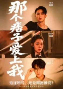 那个痞子爱上我在线观看