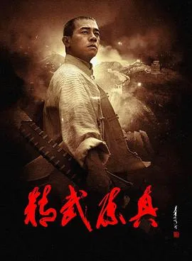 精武陈真2008在线观看