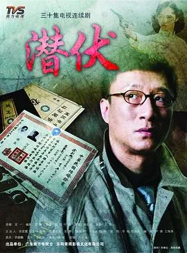 潜伏2008在线观看