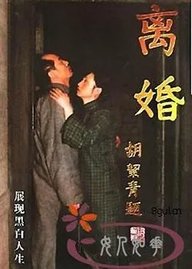 离婚1999在线观看
