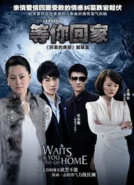 等你回家2013在线观看