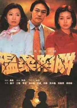 温柔陷阱2001在线观看