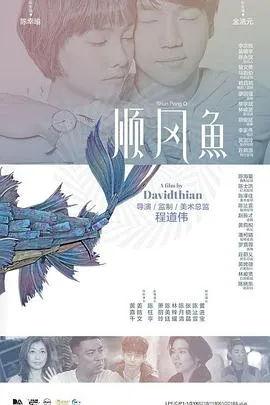 顺风鱼在线观看
