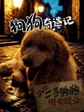 狗狗奇遇记在线观看