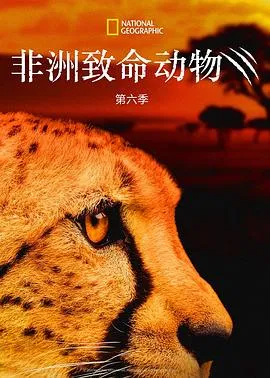 非洲致命动物第六季在线观看