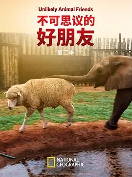 不可思议的好朋友第二季在线观看