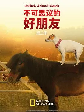 不可思议的好朋友第三季在线观看
