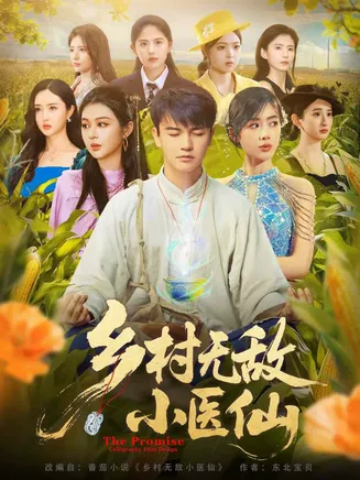 乡村无敌小医仙在线观看