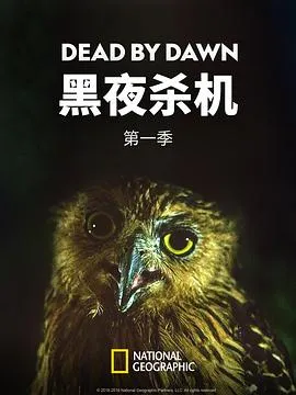 黑夜杀机第一季在线观看