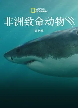 非洲致命动物第七季在线观看