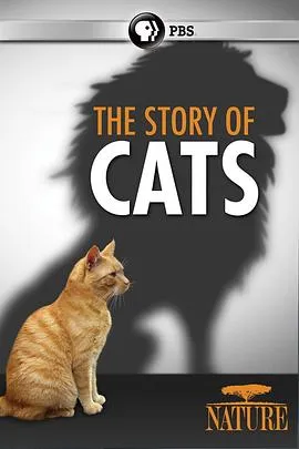 猫科动物的故事在线观看