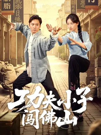 功夫小子闯佛山在线观看