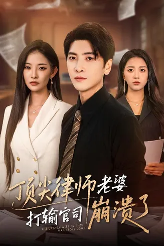 顶尖律师老婆打输官司崩溃了在线观看