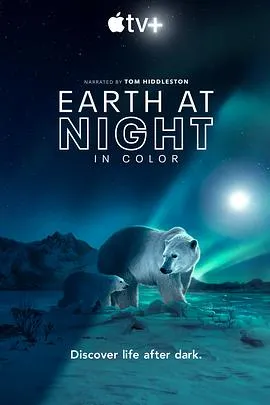 夜色中的地球第二季在线观看