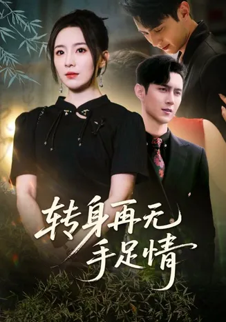 转身再无手足情在线观看