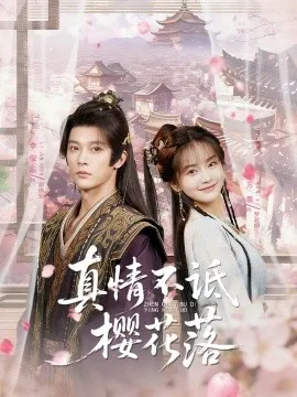 真情不诋樱花落在线观看