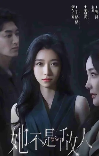 她不是敌人在线观看