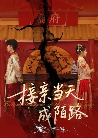 接亲当天成陌路在线观看