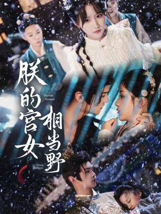 朕的宫女相当野在线观看