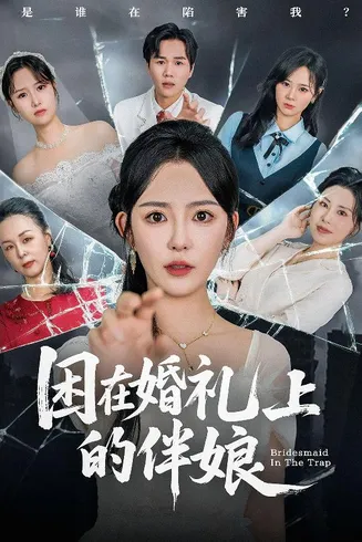 困在婚礼上的伴娘在线观看