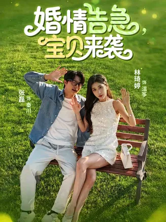 婚情告急宝贝来袭在线观看
