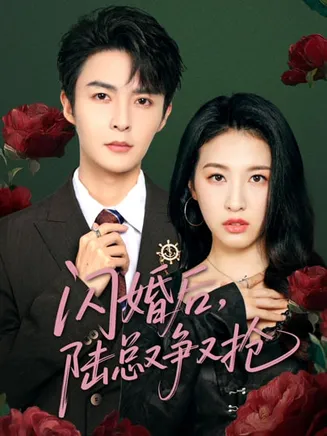 闪婚后陆总又争又抢在线观看