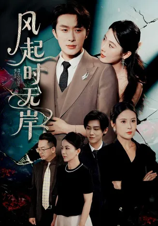 风起时无岸在线观看