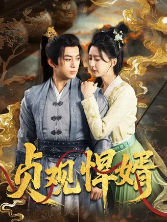 贞观悍婿在线观看