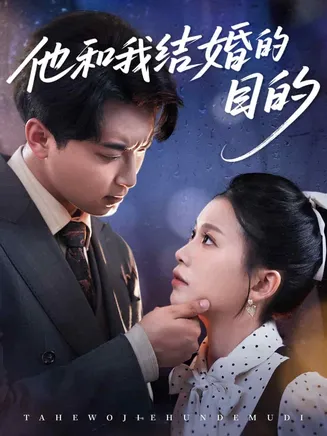 他和我结婚的目的在线观看