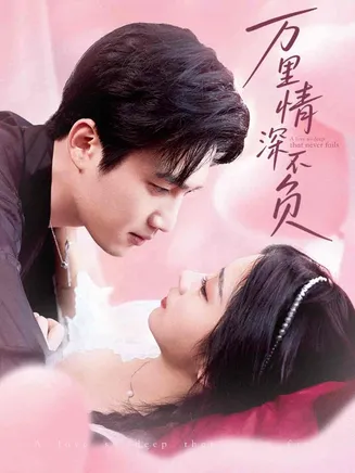 万里情深不负在线观看