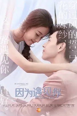 因为遇见你在线观看
