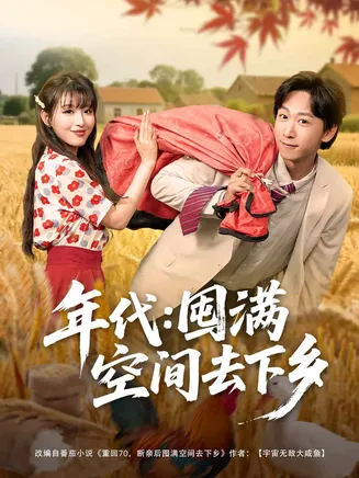 年代囤满空间去下乡在线观看