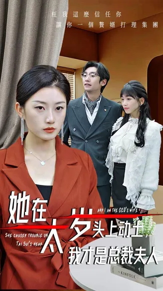 她在太岁头上动土，我才是总裁夫人在线观看