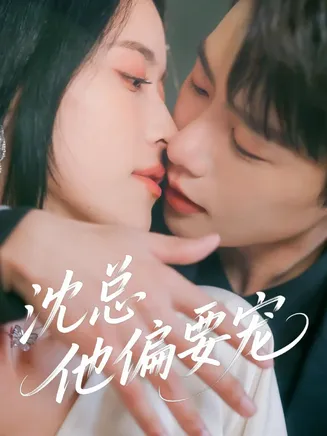 沈总他偏要宠在线观看
