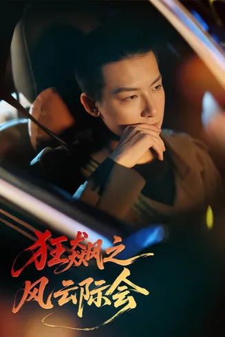 狂飙之风云际会在线观看
