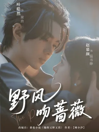 野风吻蔷薇在线观看