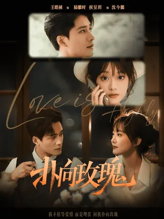 扑向玫瑰在线观看