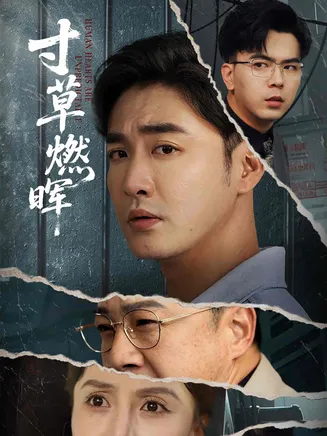 寸草燃晖在线观看
