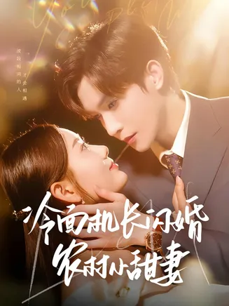 冷面机长闪婚农村小甜妻在线观看