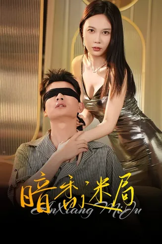 暗香迷局在线观看