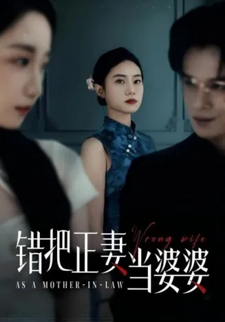 错把正妻当婆婆在线观看